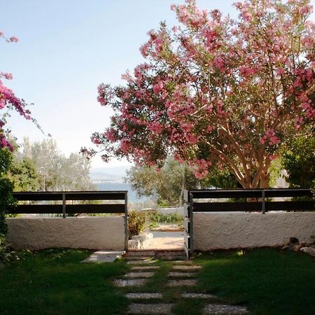Beachfront Garden Apartment- Atlas Complex Loutraki  Exterior photo